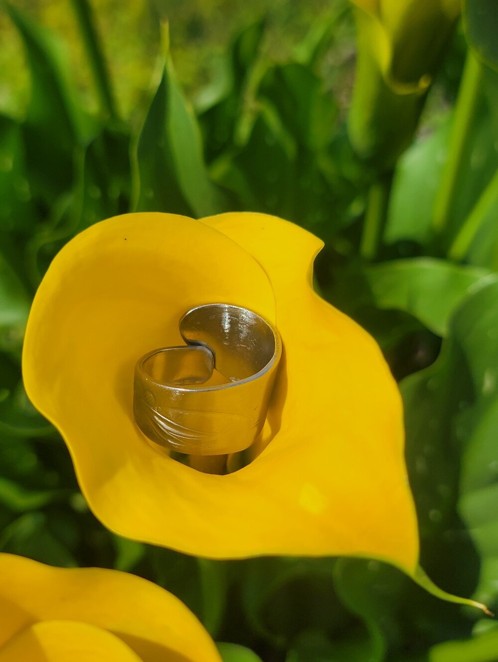 11.5 Sized Handmade Butterfly Spoon Ring
